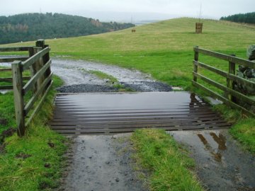 Damp
